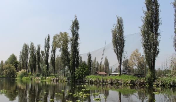 Canales de Xochimilco