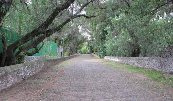 Tramo entre puente de La Colmena y la antigua Hacienda de La Cañada