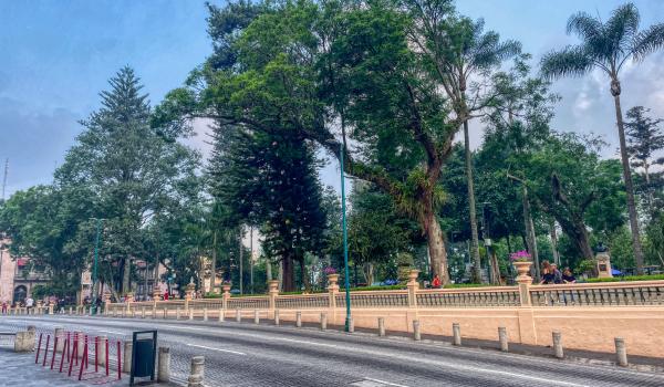 Parque Juarez Xalapa