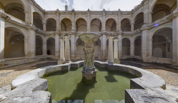 Claustro bajo