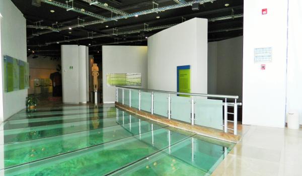 Sala Introductoria