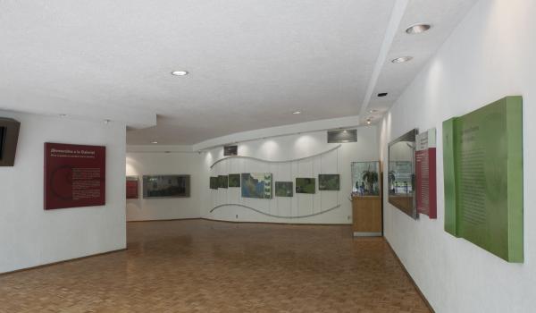 Sala Los años finales del Virreinato