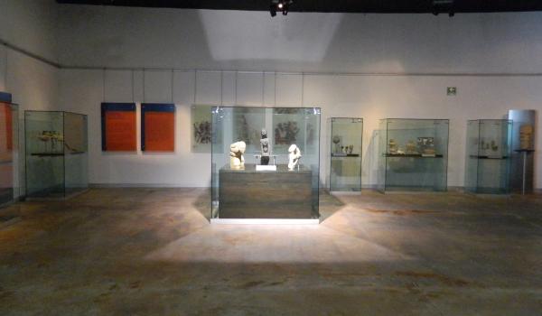 Sala Vida y fertilidad