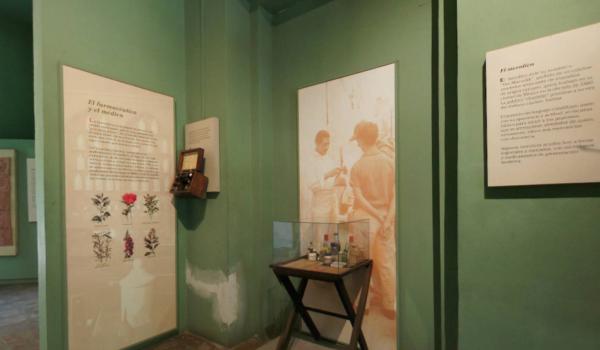 Sala Los actores sociales