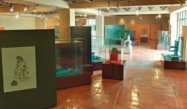 Sala 7