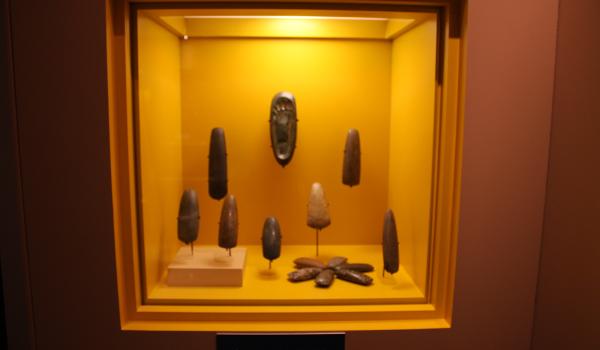 Colección Manatí