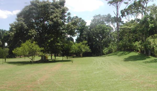 Grupo A