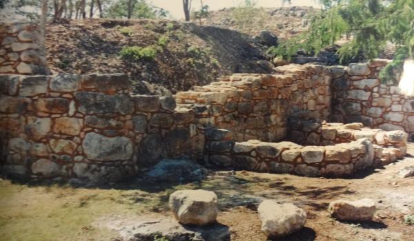Chaltun ha