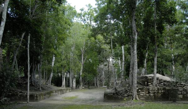 Estructura XI o Juego de Pelota