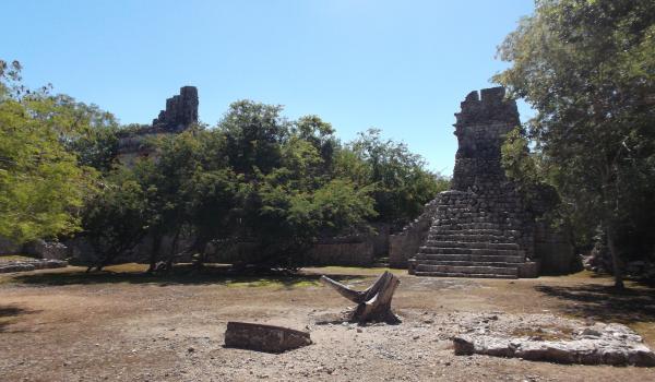 Torre