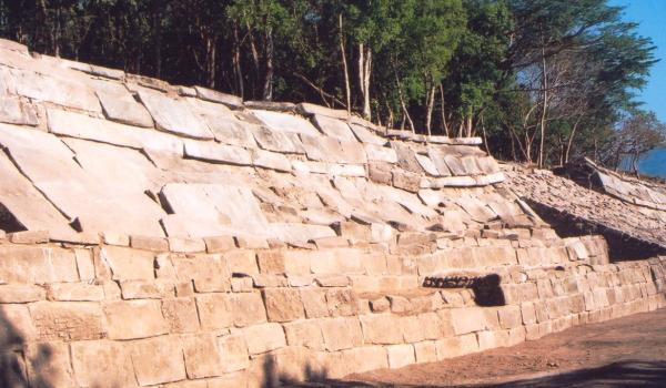 Estructura B-1