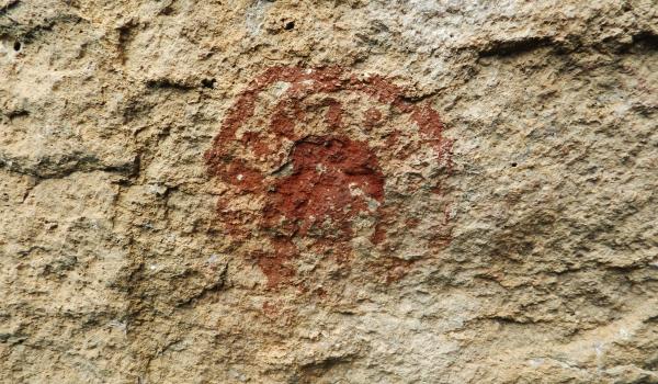 Diseños geométricos