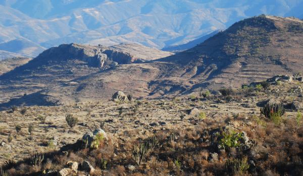 Cuevas de Mitla y Yagul