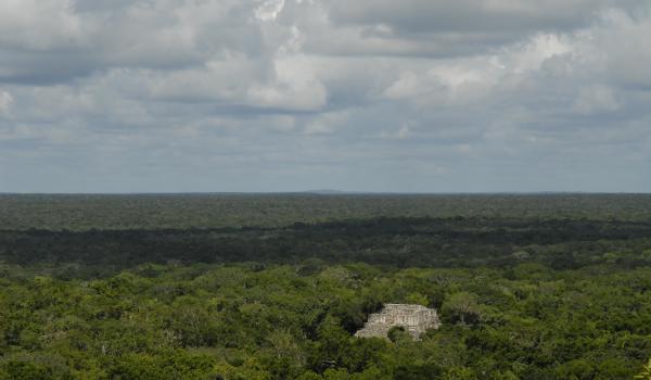 Calakmul
