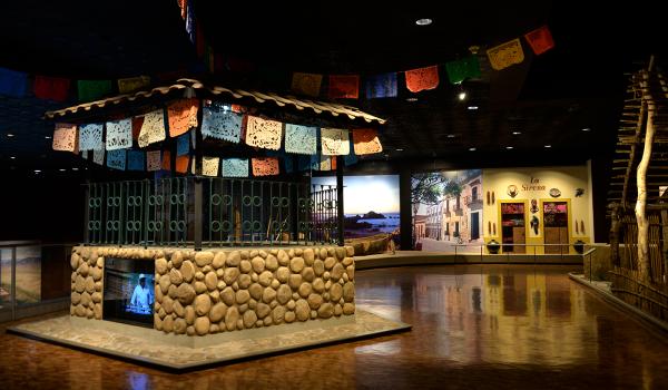 Oaxaca: pueblos indios del sur