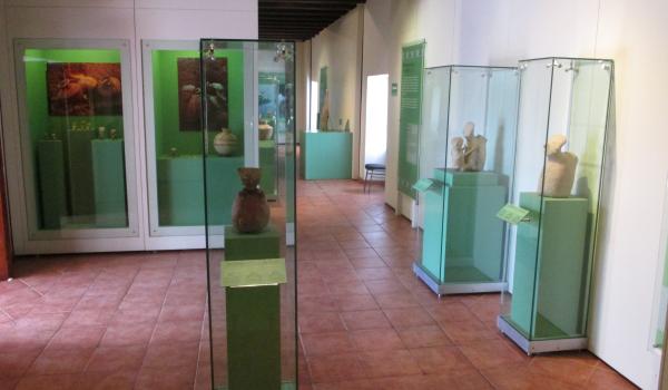 Tradición Urnas Mololoa