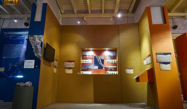 Sala Paleoindígena