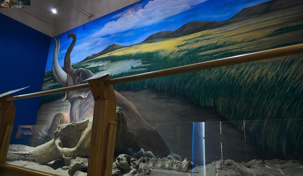 Sala Paleontología