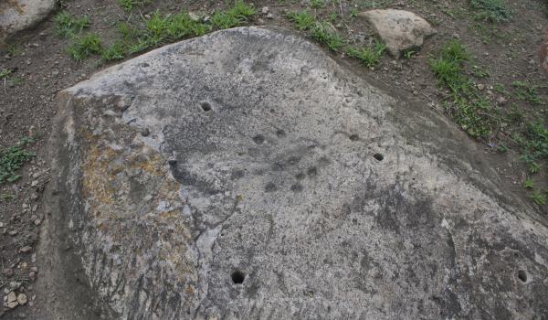 Área de petrograbados