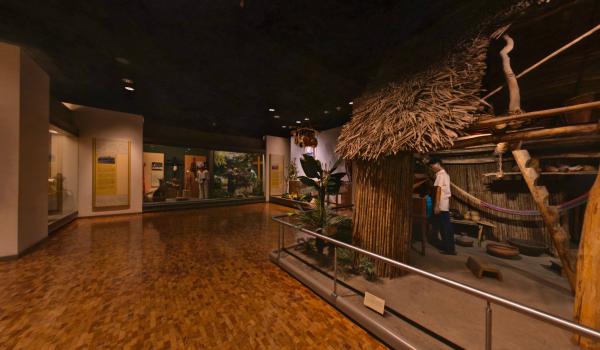 Pueblos mayas de la planicie y selva