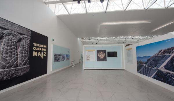 Sala de Exposiciones Temporales