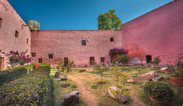 Jardín