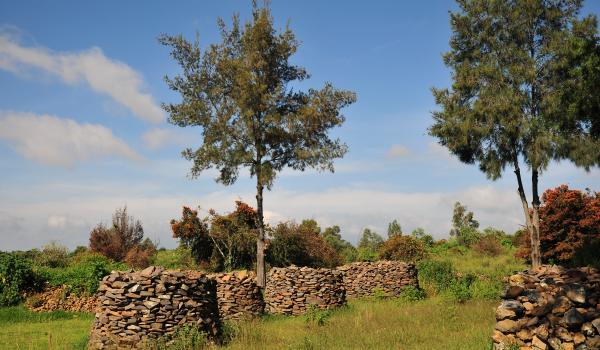 Área de palacio o administrativa