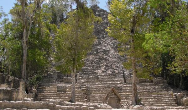 Cobá