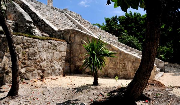 Estructura piramidal