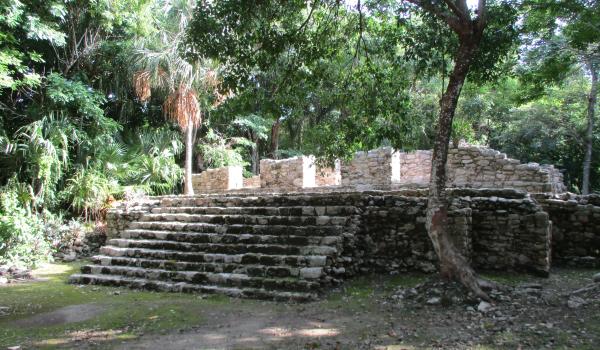 Estructura X. Fachada sur