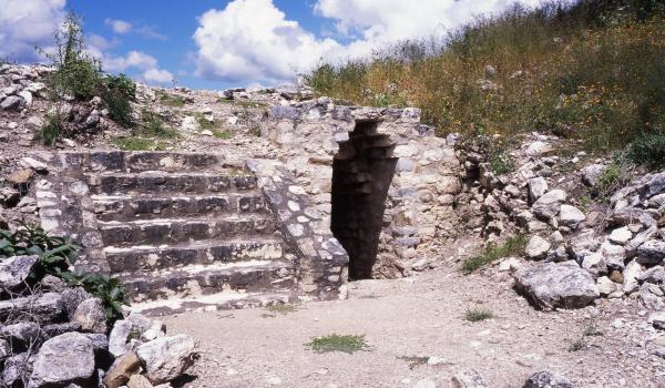 Estructura 14