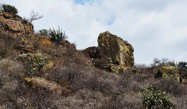 La Fortaleza