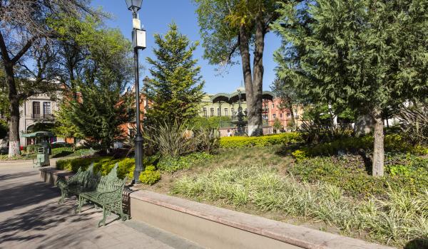 Jardín Zenea