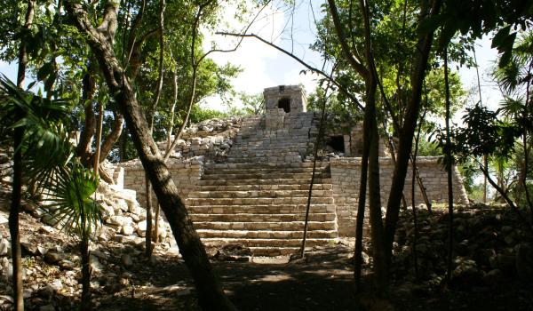 Tankah