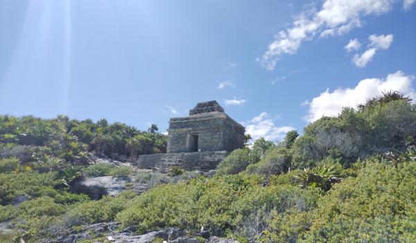 Nauyacas