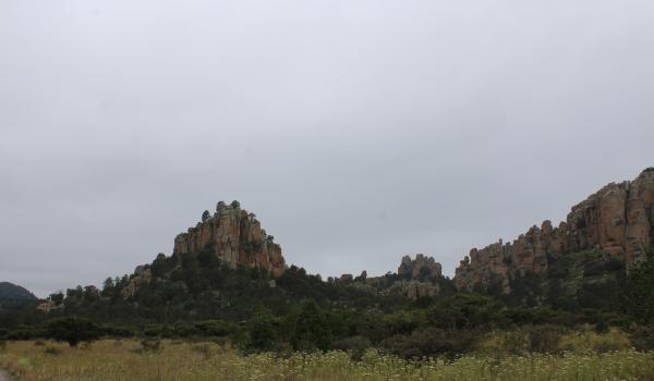 Sierra de Órganos