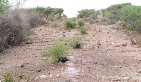 Tramo del Camino Real entre Ojocaliente y Zacatecas