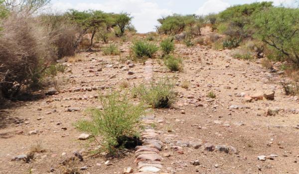 Tramo del Camino Real entre Ojocaliente y Zacatecas
