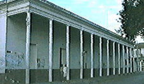 Portales