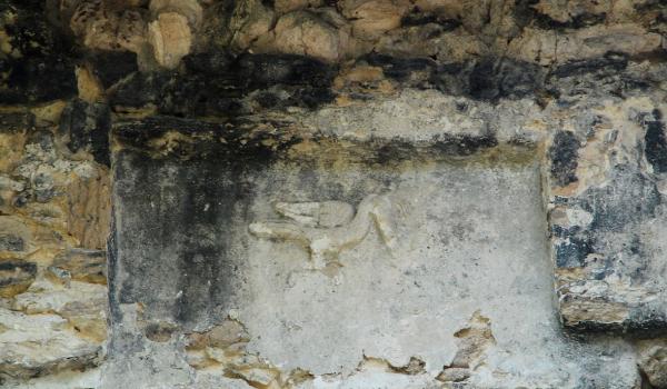 Representaciones de garzas