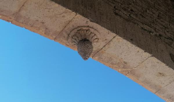 Capilla de la antigua hacienda de la Inmaculada Concepción de Palmitos de Arriba