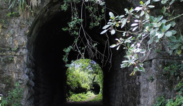 Túnel 7 del Antiguo Tramo Ferroviario Sumidero-Fortín de las Flores