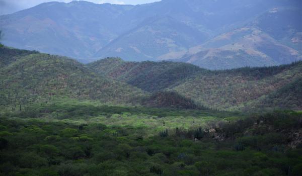 Valle de Tehuacán-Cuicatlán: hábitat originario de Mesoamérica