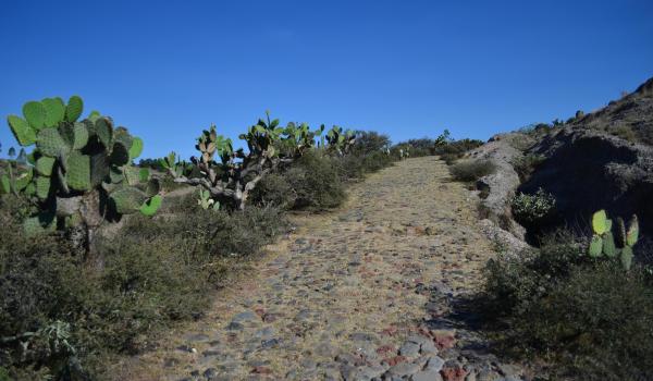 Traza del Camino Real de Tierra Adentro en el poblado de Aculco