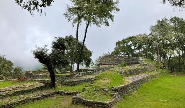Toluquilla