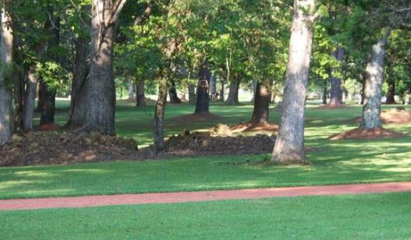 Sitio histórico estatal de Fort Jesup