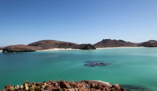 Islas y Áreas protegidas del Golfo de California