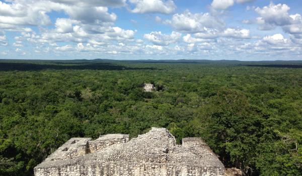 Calakmul