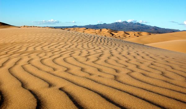Reserva de biosfera El Pinacate y Gran Desierto de Altar