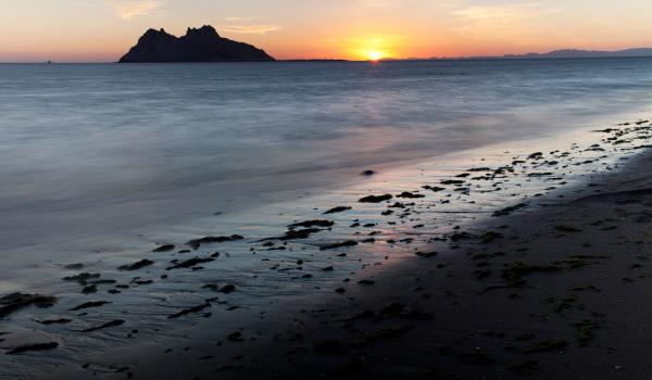 Islas y Áreas protegidas del Golfo de California